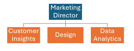 A graphic of an organisation chart with the the customer insights, design and data analytics teams reporting to the Marketing Director.