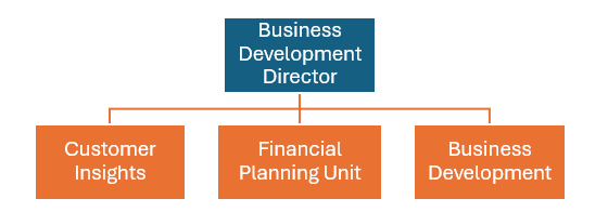 A graphic depicting an organisation chart with the customer insights, financial planning and business development teams reporting to the Business Development Director.