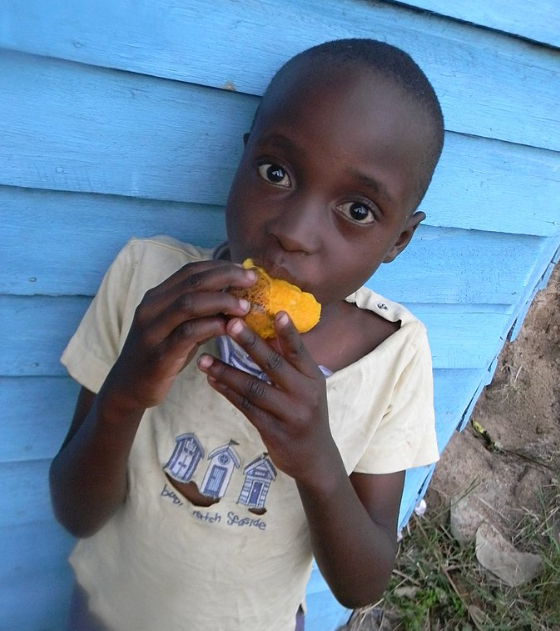 Child biting mango