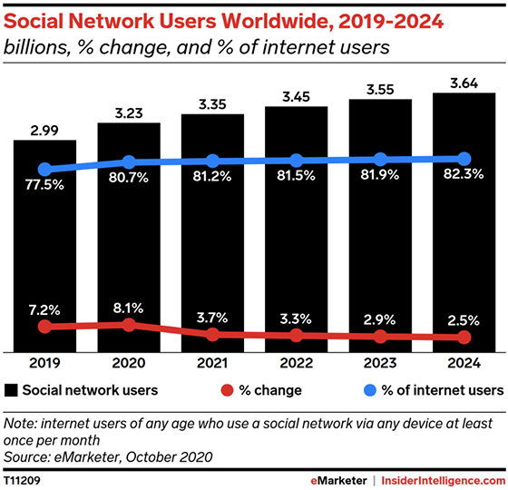 Growth of Social Network Users 2019–2024.