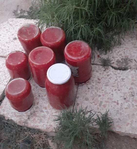 Seven red jars filled with vegetable sauce sit outside on a tiles floor surrounded by winter greens.