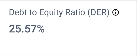 Debt-to-Equity Ratio (DER) in Balance Sheet Dashboard