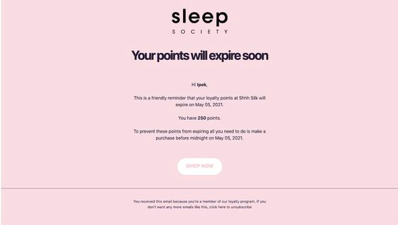 Sleep Society’s loyalty program email letting customer’s know their loyalty points will expire soon