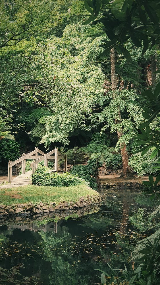 Don't use too many colors in Zen Garden