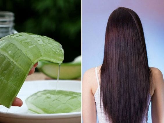 Aloe Vera Uses And Benefits — For Hair And Scalp Nourishment