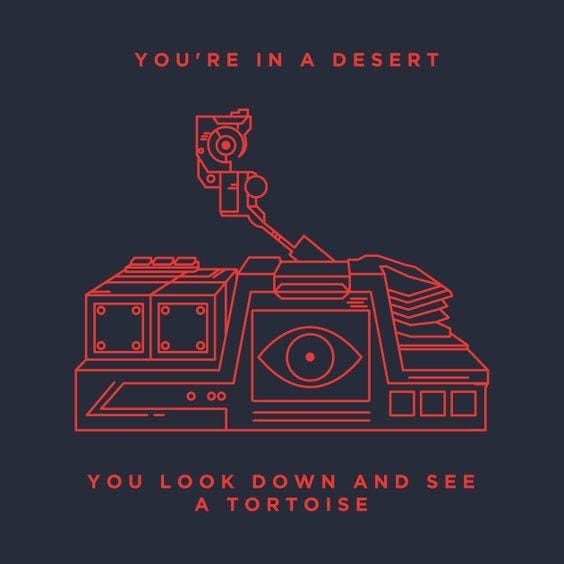 You’re in a desert. You look down and see a tortoise.