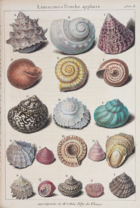 A shell catalog