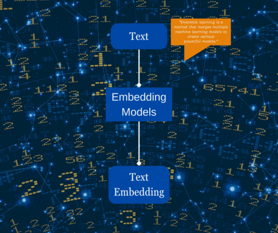 Text embedding models