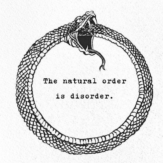 An illustration of the Ouroboros — the symbolic snake which bites its own tail, forming a circle. Within this circle there’s the following text: “The natural order is disorder”.