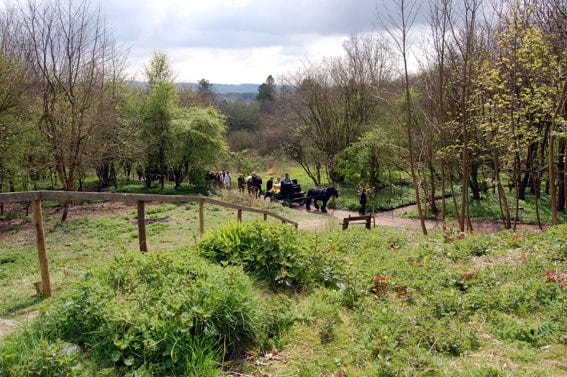 A picture of a funeral procession through a woodland