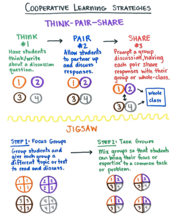 Description of the “Think-Pair-Share” and “Jigsaw” teaching strategies.