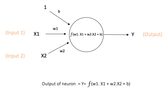 Figure 1: a single neuron