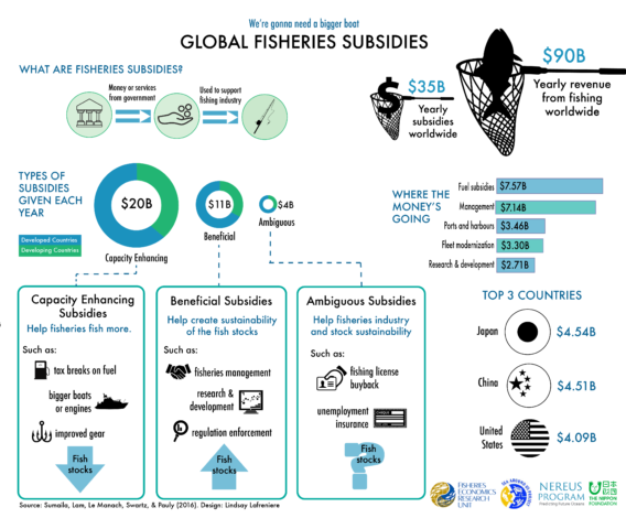 Infographic explaining global fishing subsidies