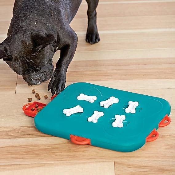Outward Hound Nina Ottosson Dog Casino Dog Puzzle Interactive Treat Puzzle Dog Enrichment Dog Toy, Level 3 Advanced, Turquoise