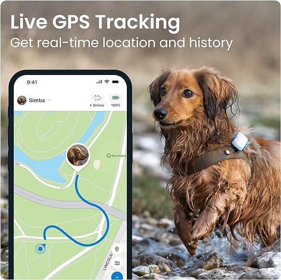 Tractive GPS Tracker & Health Monitoring for Dogs - Market Leading Pet GPS Location Tracker, Wellness & Escape Alerts, Waterproof, Works with Any Collar (Brown)