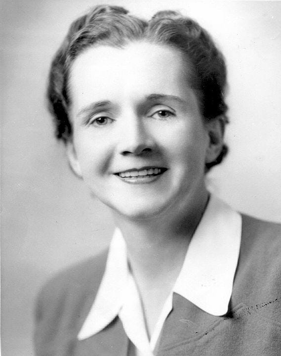 A portrait of a smiling woman with short hair and a white collar