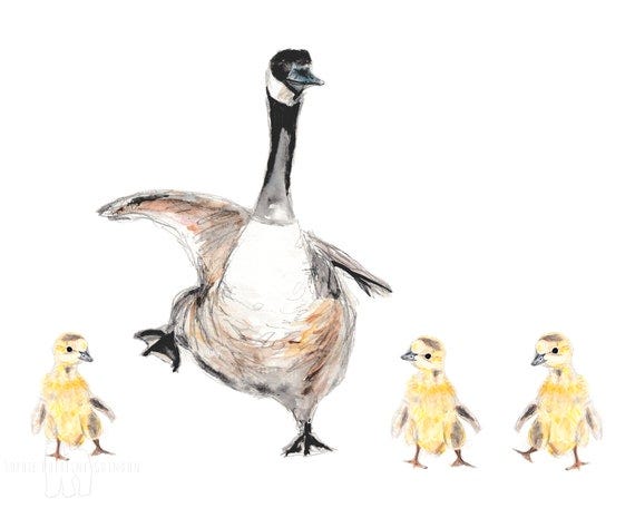 Protecting the pod: Communal guardianship in natural crèches (image source: petitsmantras)