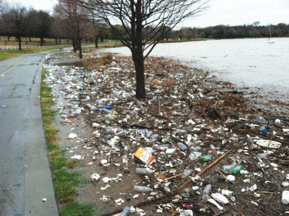 Not only does runoff of pesticides and herbicides, and dumping industrial and human waste affect White Rock Lake, but plastic, Styrofoam and other trash litters the shoreline.