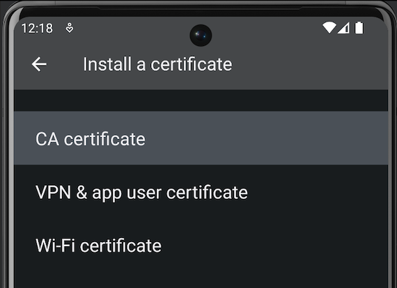 CA Certificate option under Install a certificate