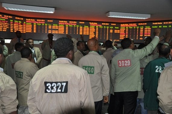 A look inside the trading floor on the Ethiopian Commodity Exchange