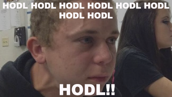 how to profit from bitcoin — hodl