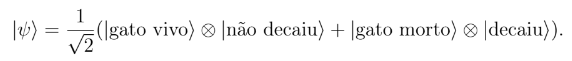 1/(raiz quadrada de 2)[(probabilidade do gato estar vivo e probabilidade do material não ter decaído)+ (probabilidade do gato estar morto e do material ter decaído)]