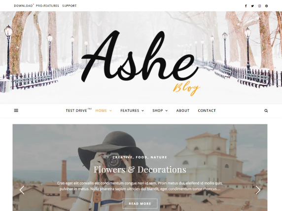 Free WordPress Themes