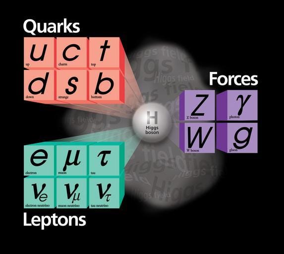 Resultado de imagem para leptons table