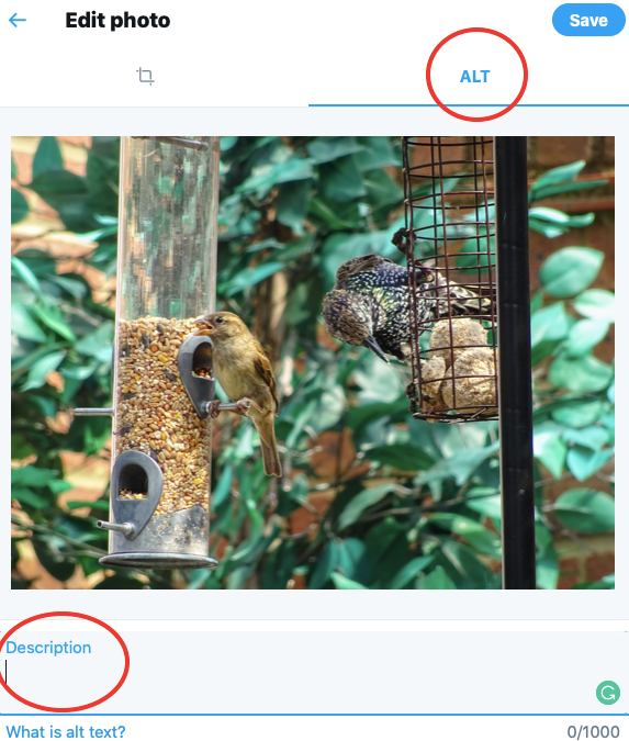 Screenshot of Twitter’s ‘Edit photo’ dialog box with the ‘Alt’ tab selected and the description field highlighted.