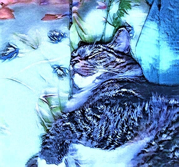 A tabby cat lying on a soft and comfy bed