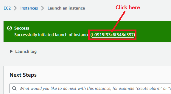 Instance Launched Successfully