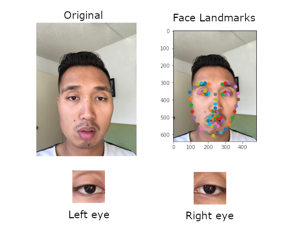 Eye tracking - face landmarks input