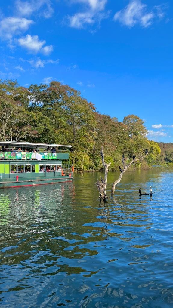 The scenery of the thick forest and the lake in thekkady