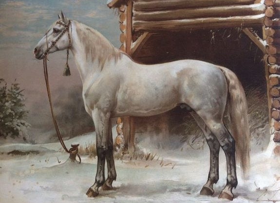Kunstalbum met 41 originele lithografieën van paardenrassen