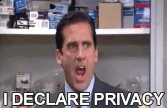 Michael Scott from the TV Show The Office screaming with the caption “I DECLARE PRIVACY”