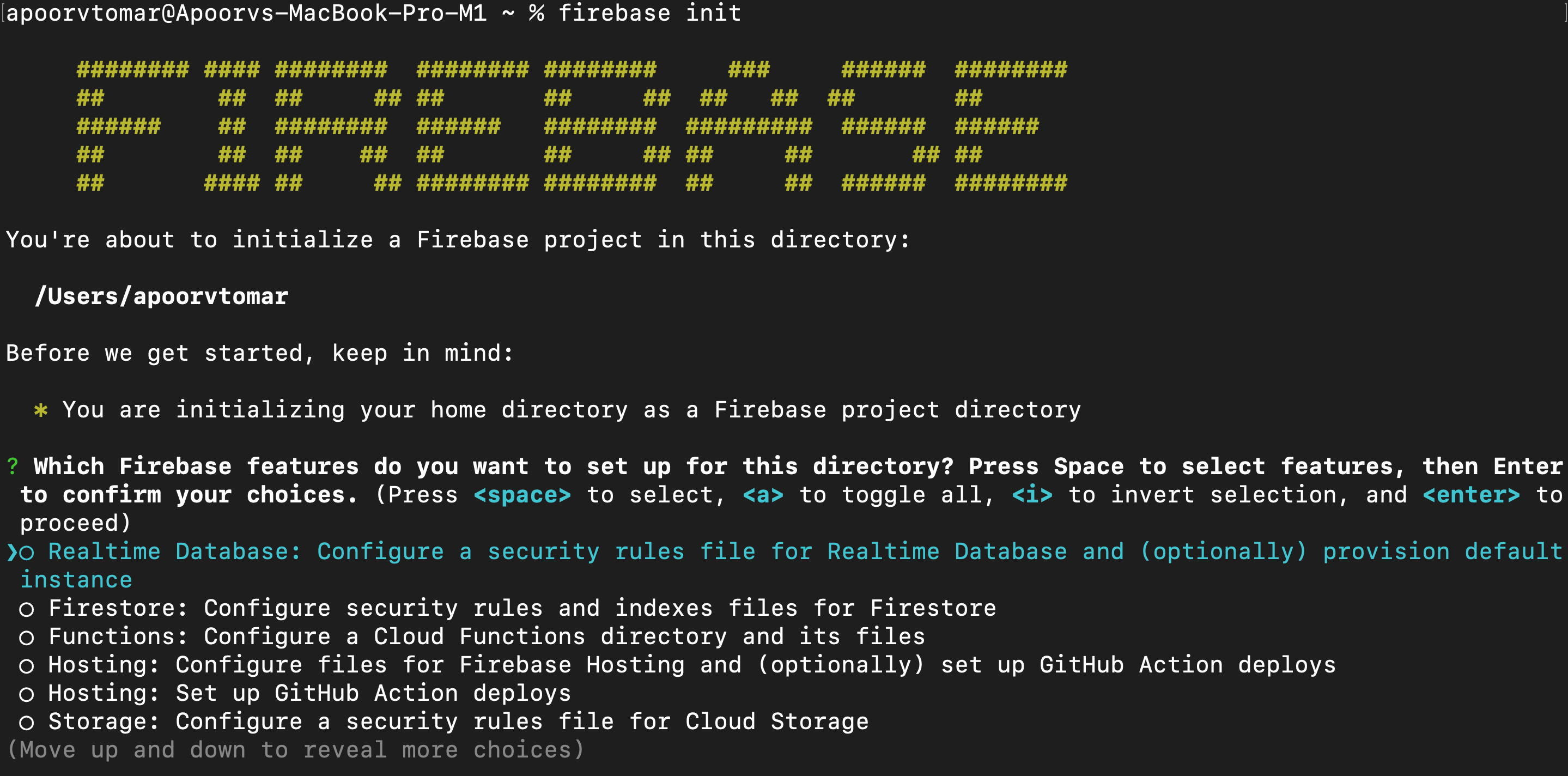 Firebase CLI tool (Image by author)