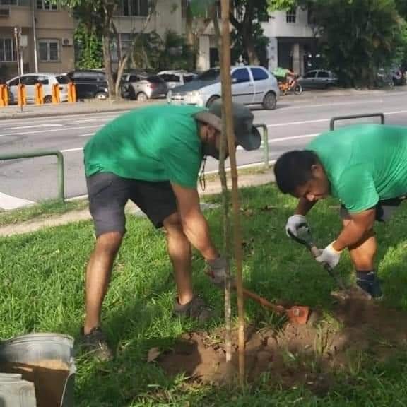 The Benefits of Planting Various Native Tree Species in the Area