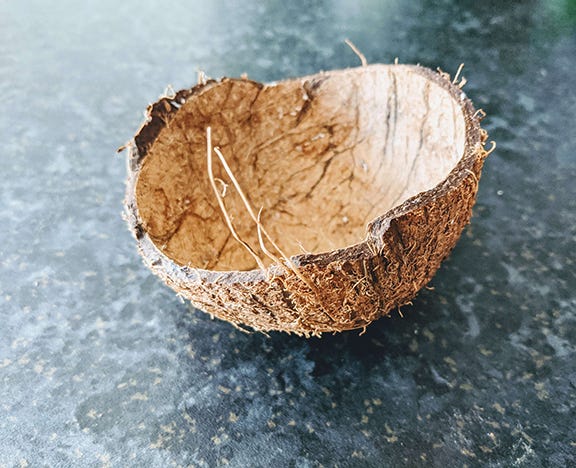 how to make plant holder with a coconut shell. Empty coconut shell on a kitchen counter