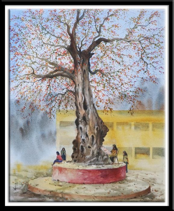 Watercolor Painting of Kusum Tree