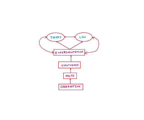 Telling a real law from a fake one: A flowchart with “Observation” at the bottom. Observation leads to “Facts”, and Facts lead to “Hypothesis”. And hypotheses warrant “Experimentation”. Experimentation leads simultaneously to laws as well as theories. Laws and theories intereact with each other as well as with experimentation.