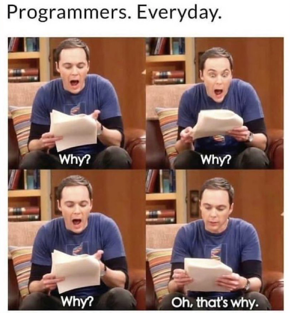 Meme: programmers everyday life