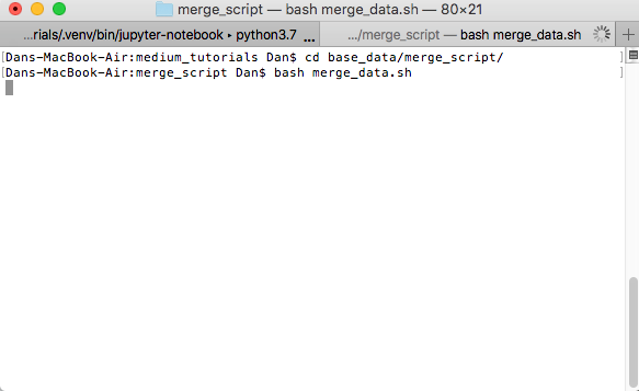 Running the merge_data.sh script