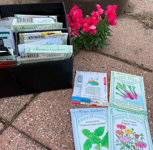 Photograph of Renee’s seed pacages on brick near snapdragons growing through a crack