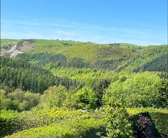 A sunlit view over a tree-filled valley