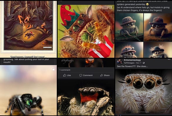 A mosaic of 8 images, all of spiders. Top left is a Far Side comic with a spider wearing a santa hat crawling up a sleeping bag, while a man gasps, “it’s Santarantula”. Top middle is a close up macro photo of a Jumping Spider dressed as an elf, holding a present. Top right is four AI generated images of jumping spiders in small hats. Bottom left is a macro video of a jumping spider named bean cleaning herself. Bottom center and left are macro views of jumping spider’s furry faces.