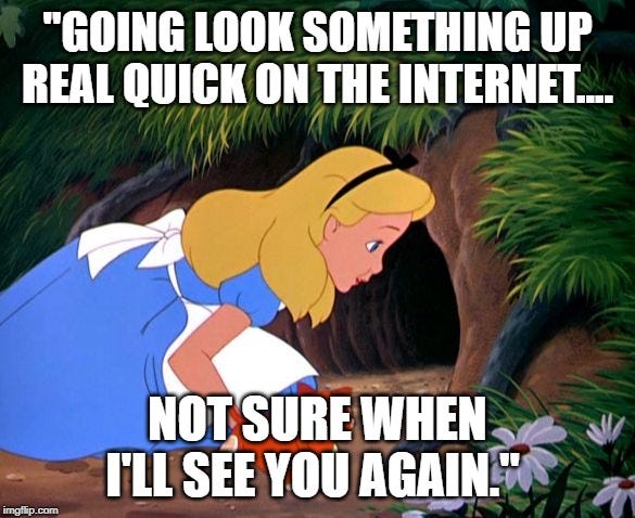 Meme of Alice peeking into the rabbit hole with the text “Gonna look something up real quick on the internet…not sure when I’ll see you again.”