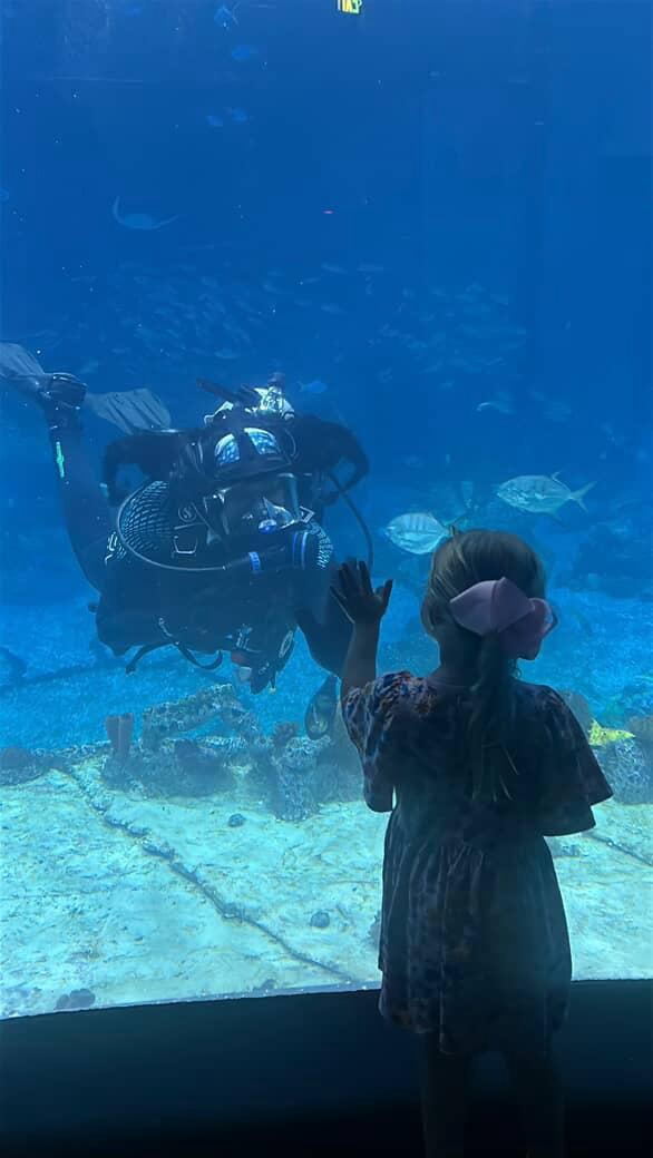A child stands at the glass of a large aquarium tank, reaching out as a scuba diver swims over from the other side to meet their hand. Fish glide through the blue-lit water around them, weaving between underwater structures. The child is wearing a colorful dress and has her hair pulled back into a ponytail with a purple bow.