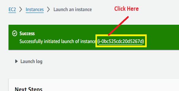 Instance Launched Successfully