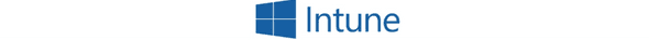 Intune Logo