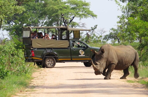 kruger national park